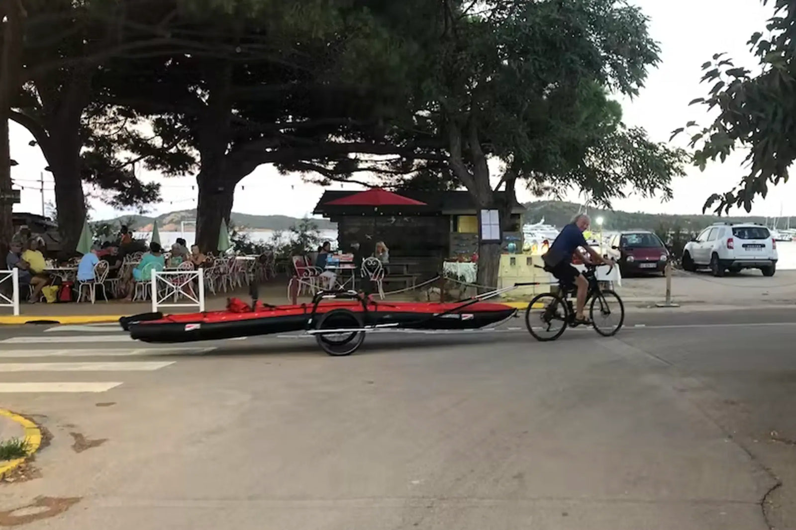 Bike towing online trailer